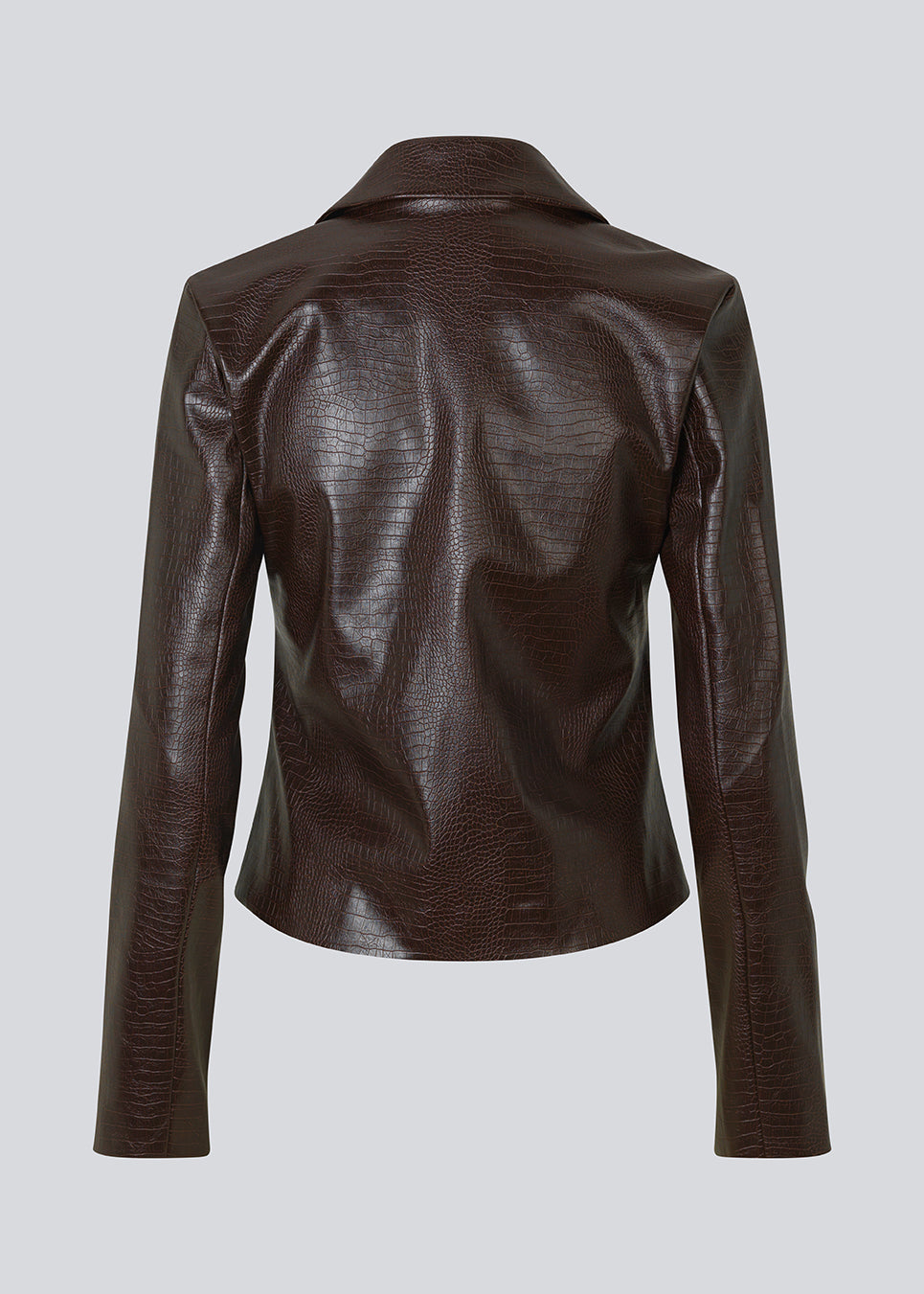 Sixstenmd jacket - Cedar